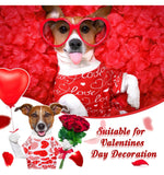 Valentines Dog Pajamas