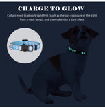 Puppy Collars for Litter Puppy ID Collars Glow in The Dark