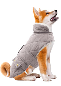 Windproof Pet jacket