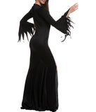 Witches Dress Halloween Costume