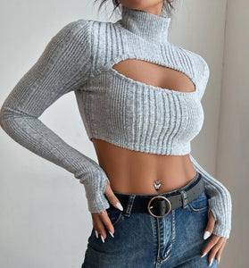 High neck long sleeve crop top