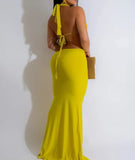 Elegant Party Long Backless Prom Dress