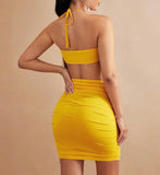 Cut Out Ruched Tie Backless Halter Bodycon Dress