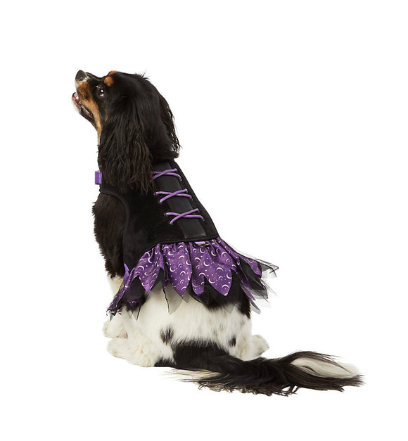 Thrills & Chills™ Halloween Witch Costume Vest Dog Harness