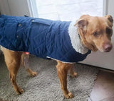 Windproof Pet jacket