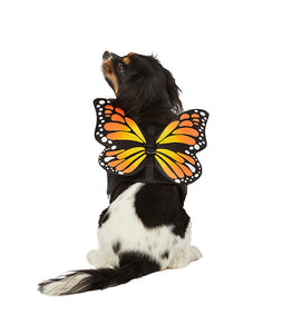 Thrills & Chills™ Halloween Butterfly Costume Vest Dog Harness