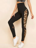 Mulvari Leopard Side Seam Mesh Insert Leggings