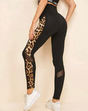 Mulvari Leopard Side Seam Mesh Insert Leggings