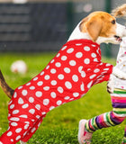 Dog Pajamas