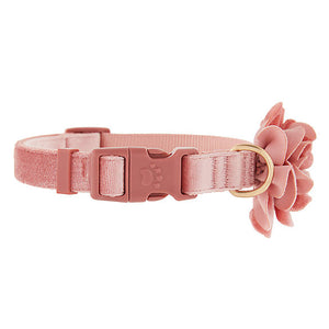 Velvet Pink Collar