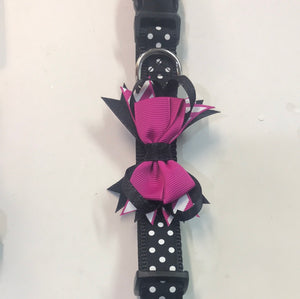 Polka dot Pet Collar