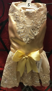 Pet Satin Gold Dress