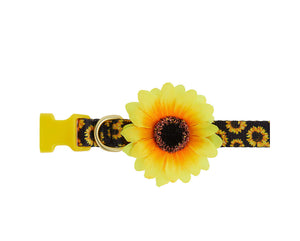 Sunflower Adjustable Dog Collar