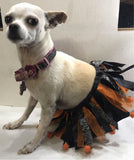 Pet Tutu Costume