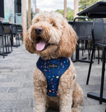 Reversible dog harness