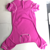 Pet Beauty Queen Onesie