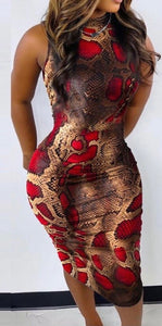 Snakeskin print dress