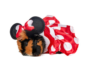 Mini Mouse Pet Costume