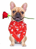 Valentine's Day pet bandanas