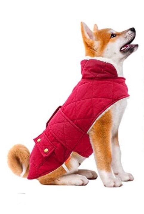 Winter fleece pet jacket