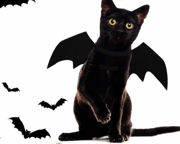 Pet Bat Costume