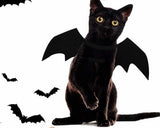 Pet Bat Costume