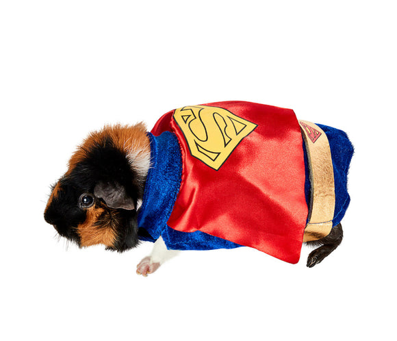 Super Man Pet Costume