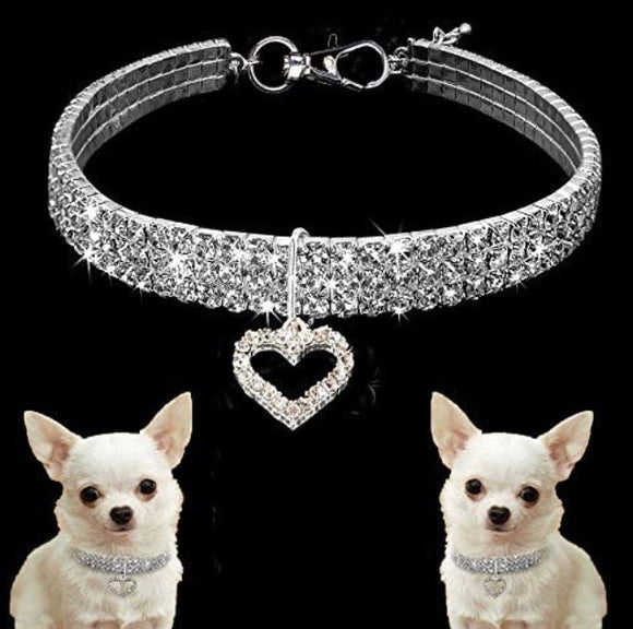 Pet Jewelry